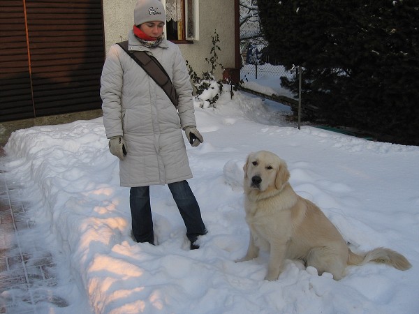 Fotoalbum našeho retrívra Frediho