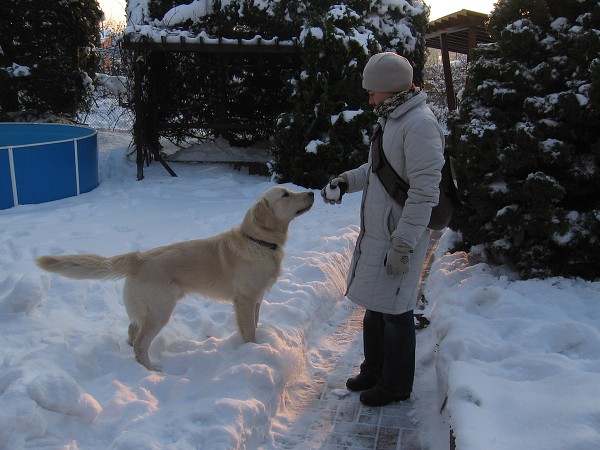 Fotoalbum našeho retrívra Frediho