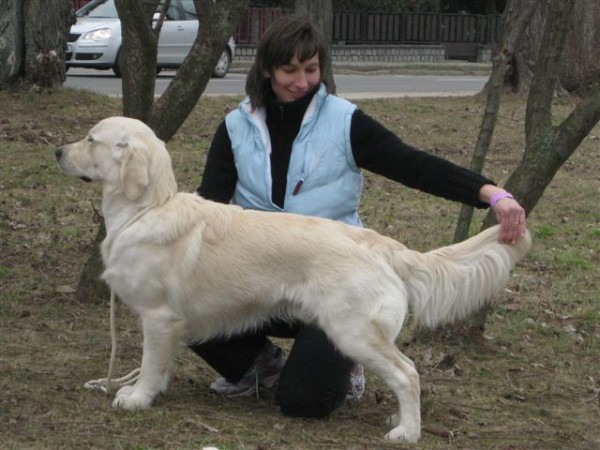 Fotoalbum našeho retrívra Frediho