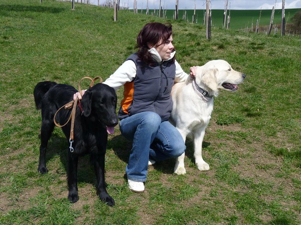 Fotoalbum našeho retrívra Frediho