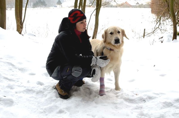 Fotoalbum našeho retrívra Frediho